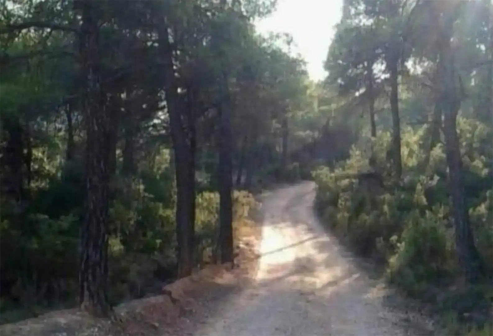 Finca rústica en venda en Beceite