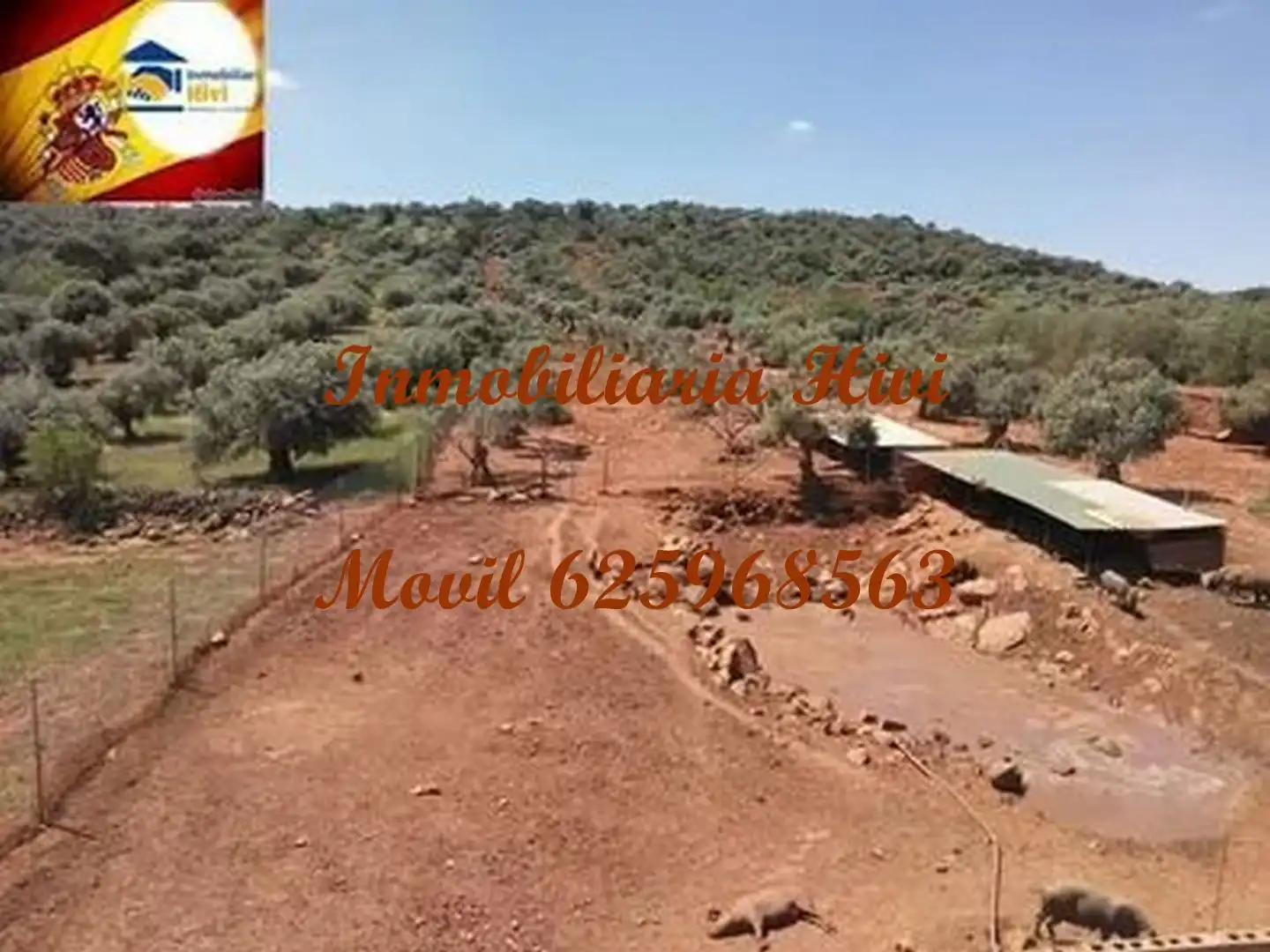 Nave industrial en venta en Almendral