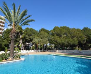 Swimming pool of Apartment for sale in Orihuela  with Terrace