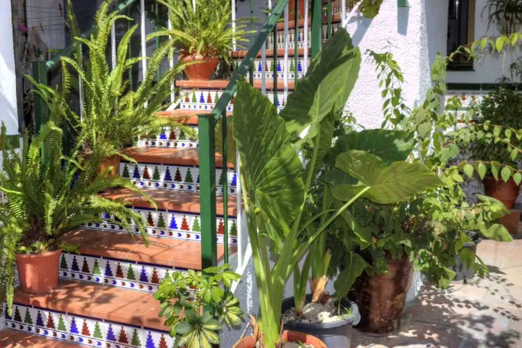 Jardí de Casa adosada en venda en Casarabonela amb Aire condicionat, Jardí privat i Terrassa