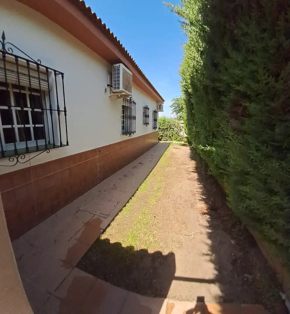 Vista exterior de Casa o chalet en venta en Palomares del Río con Aire acondicionado, Jardín privado y Terraza