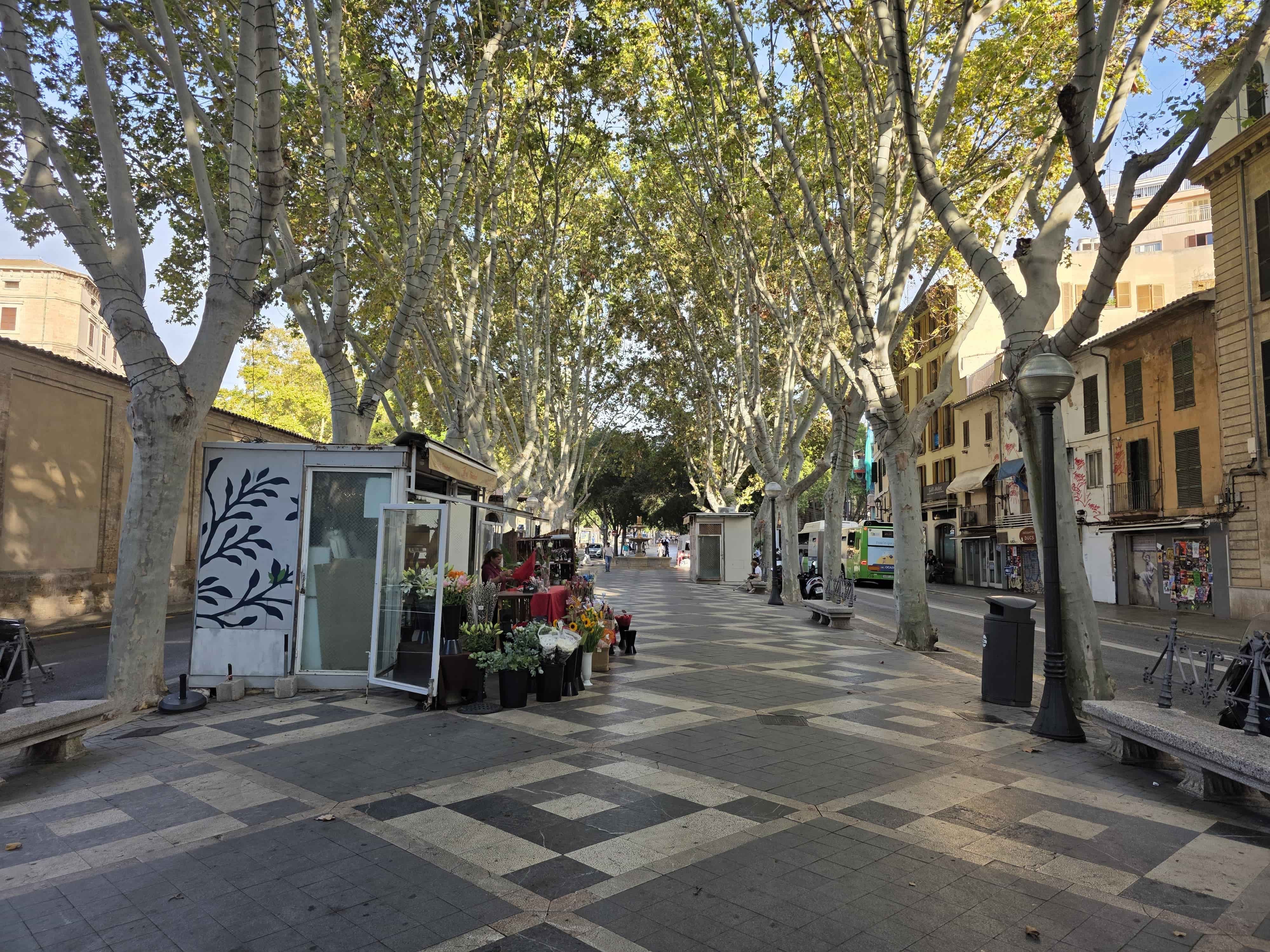 Vista exterior de Apartament de lloguer en  Palma de Mallorca amb Aire condicionat