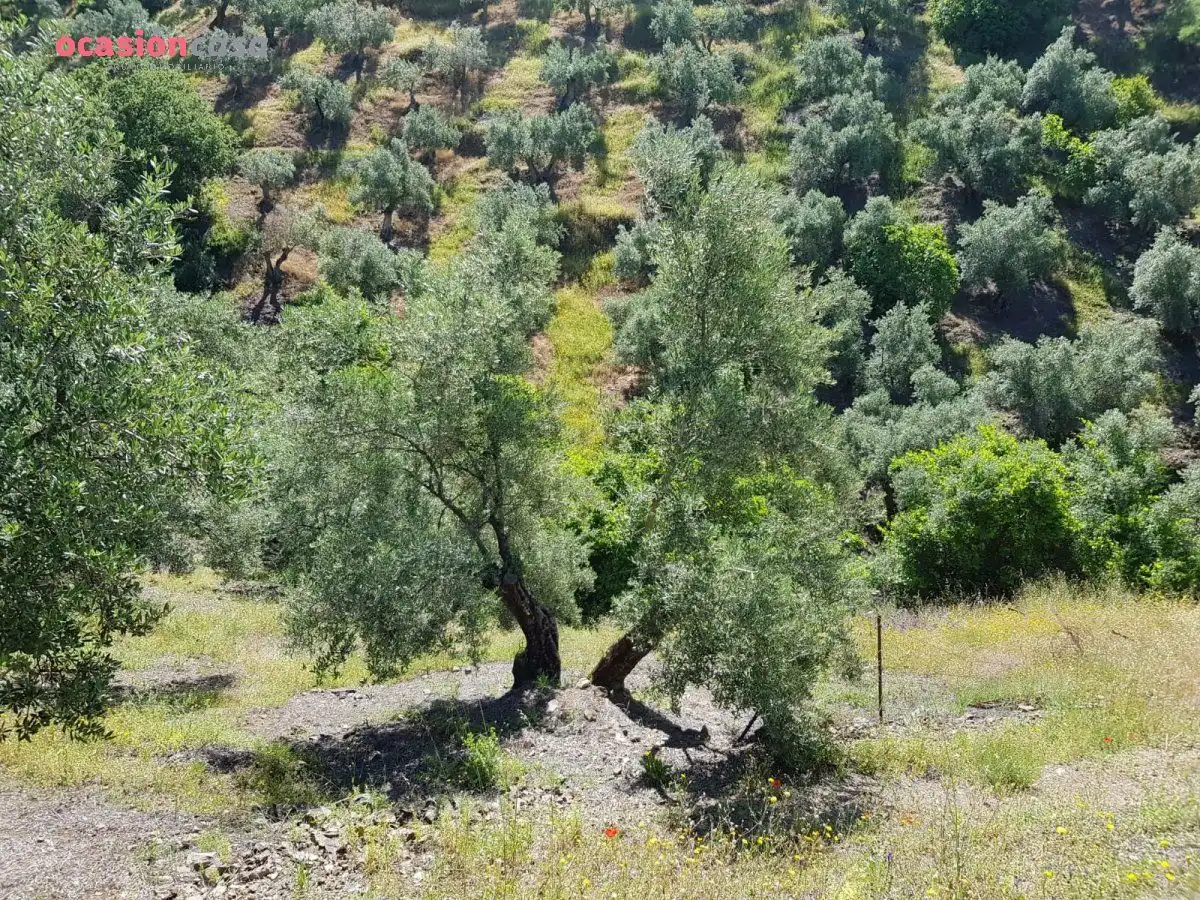 Finca rústica en venta en Villanueva de Córdoba con Jardín privado, Trastero y Amueblado