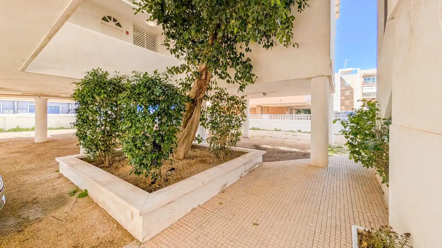 Exterior view of Flat for sale in Santa Pola  with Terrace and Furnished