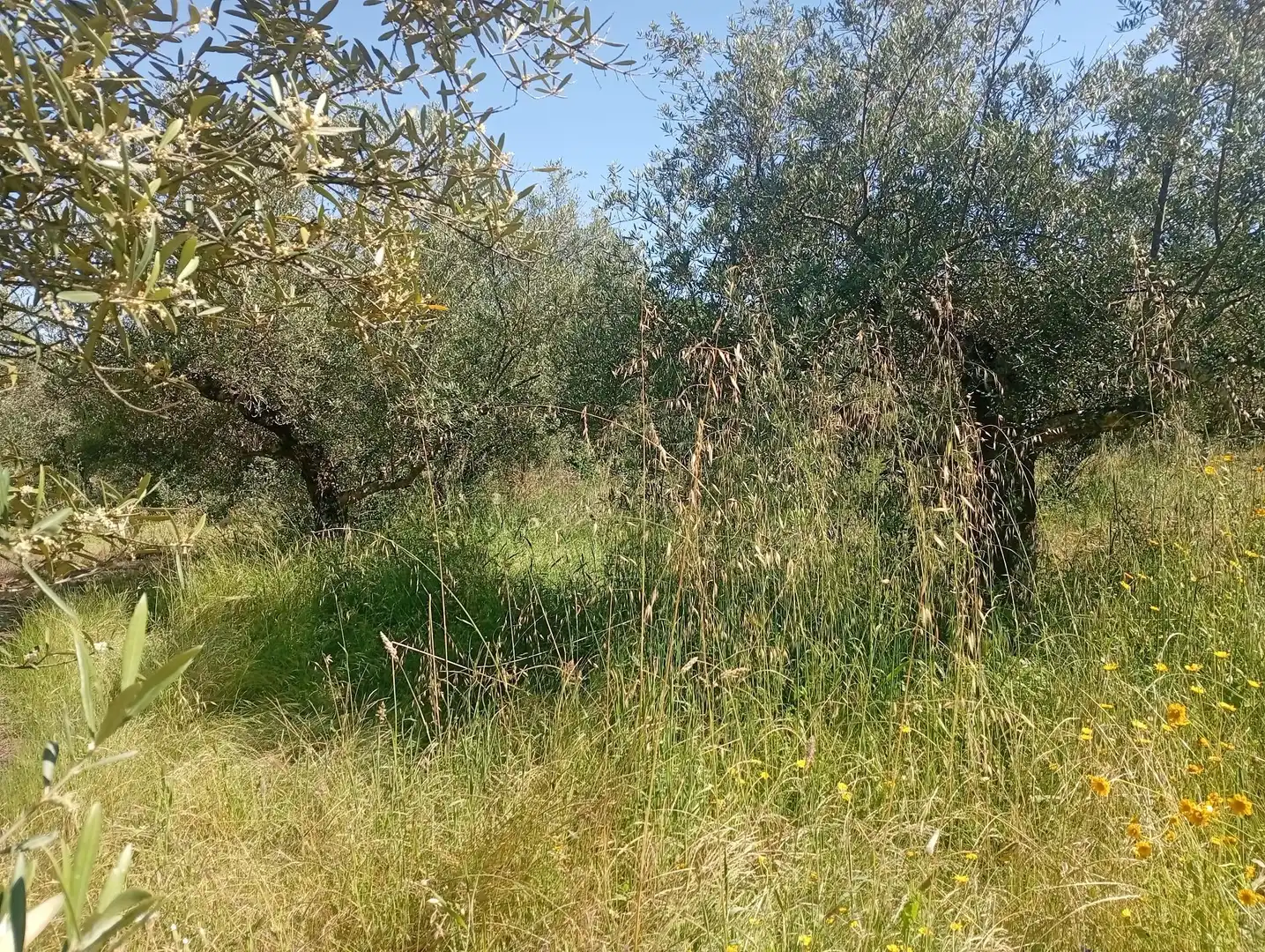 Maison à vendre à Villanueva de la Vera, imagen 35