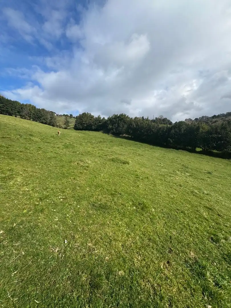 Terreny residencial en venda a Rural, imagen 9