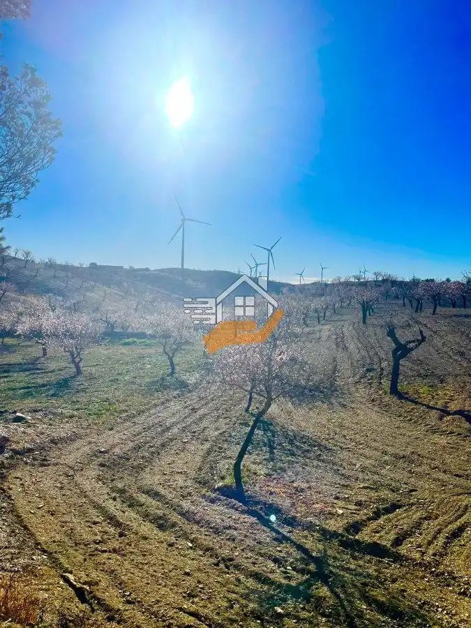 Casa rústica en venta en Vélez-Rubio, imagen 8