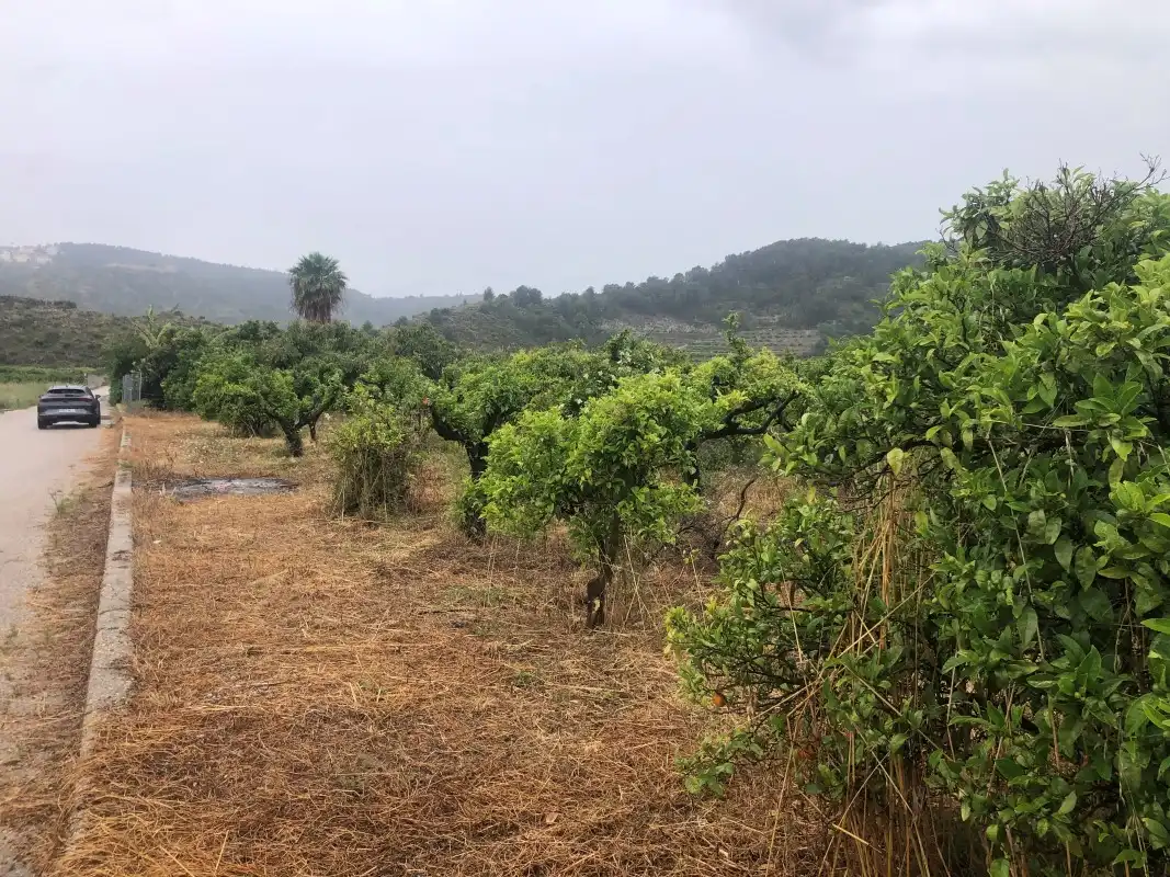 Terreny rústic en venda a Castelló de Rugat, imagen 5