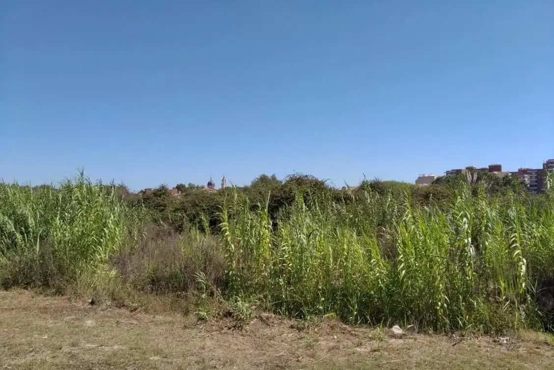 Residential land for sale in Sueca ciudad, imagen 2
