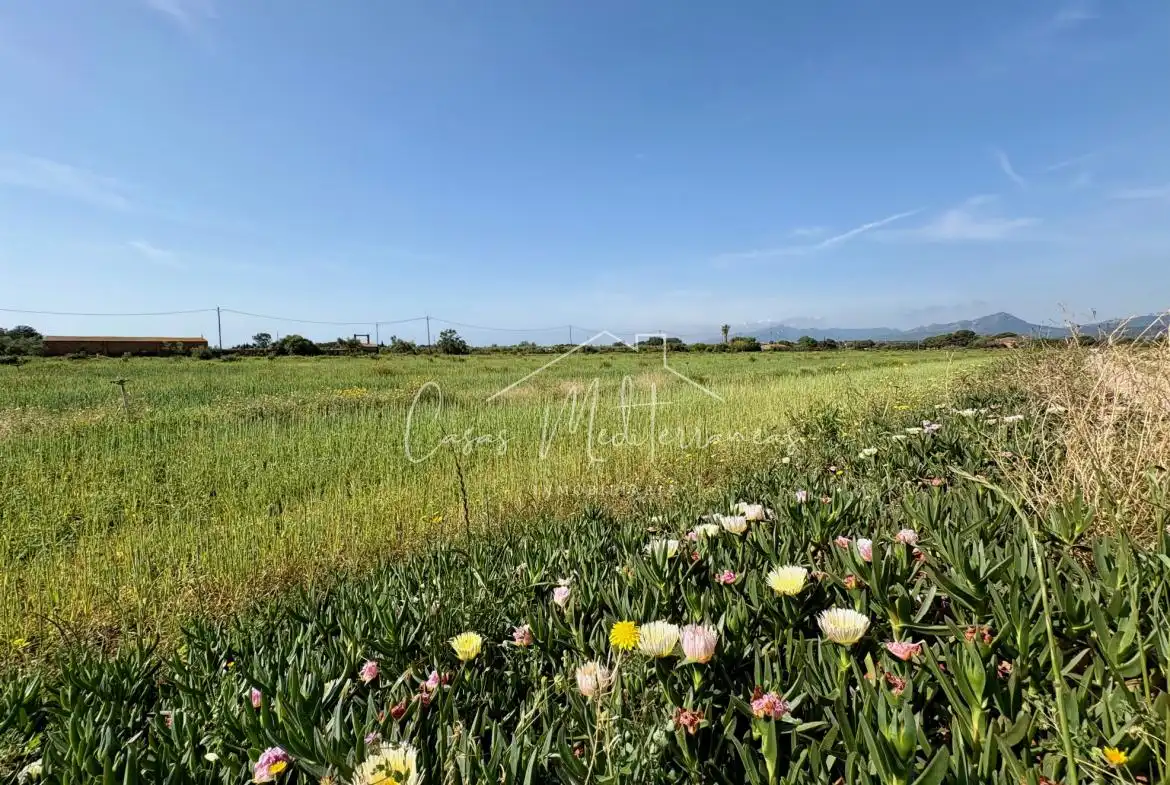 Terreny rústic en venda a Ardiaca - La Llosa, imagen 19
