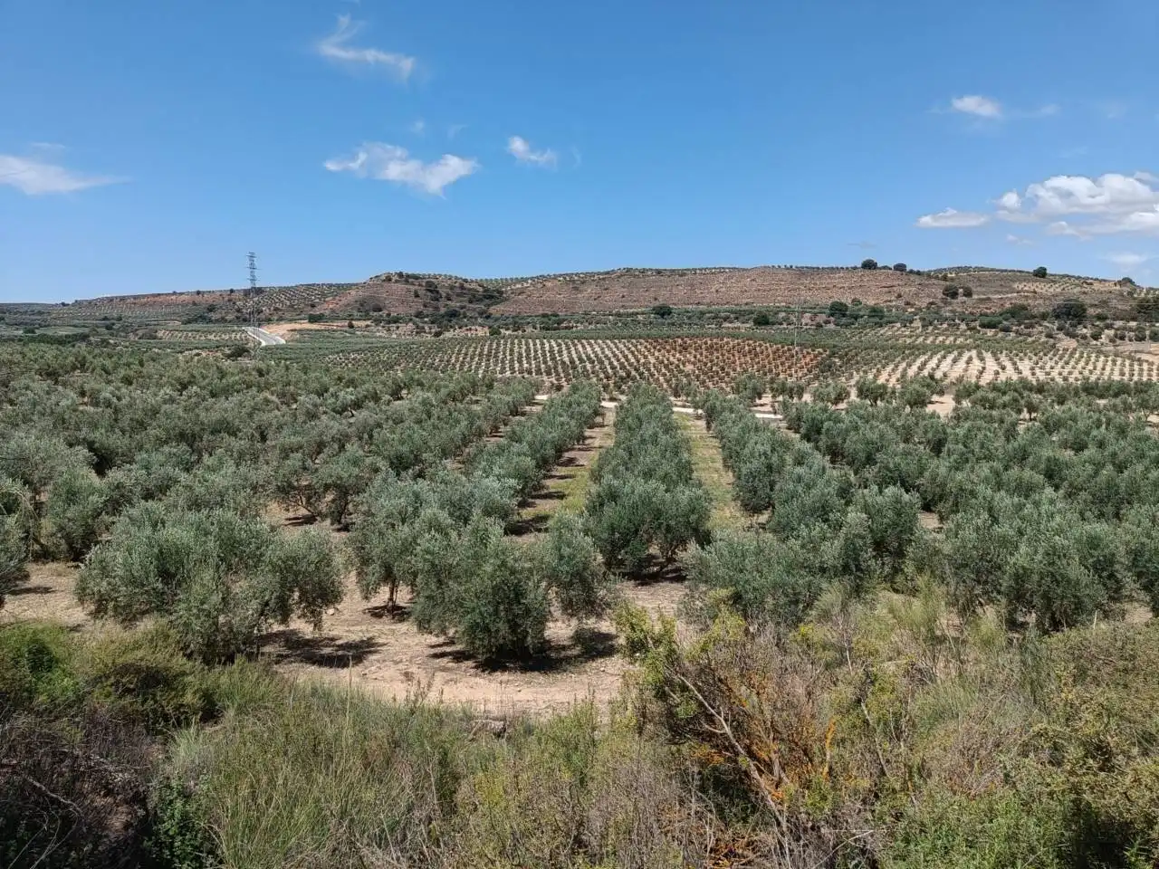 Country homes for sale in Moraleda de Zafayona  with Private garden, Swimming Pool and Furnished