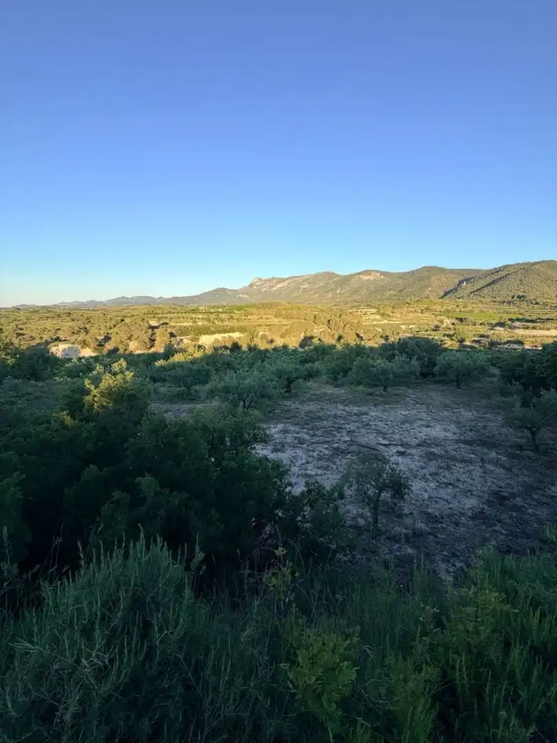 Terreny residencial en venda a El Juncal - Vallealto, imagen 22