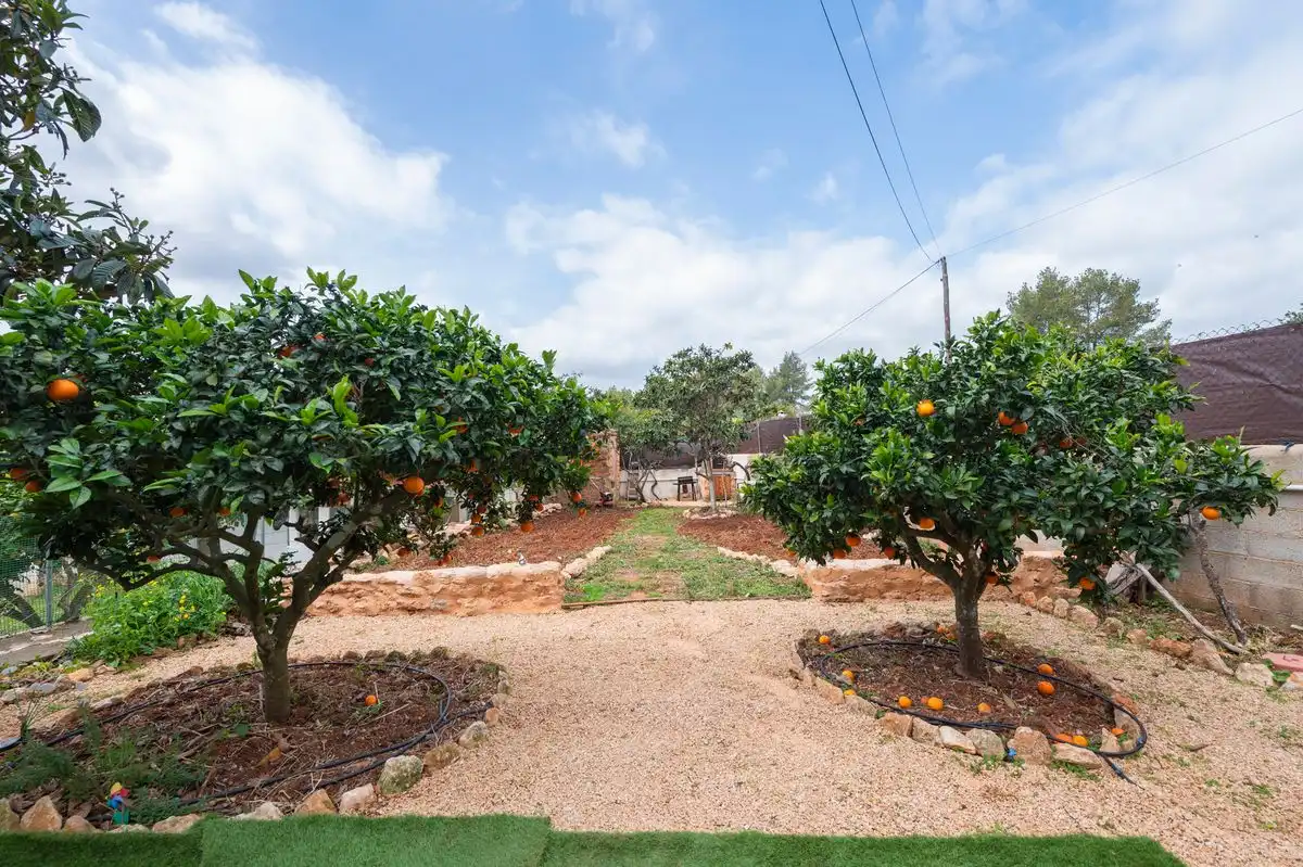 Maison avec jardin à vendre à Diseminado P 26 Sta Gertrudis, imagen 33