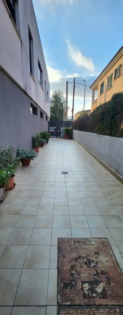 Àtic de lloguer a Bunyola, imagen 17