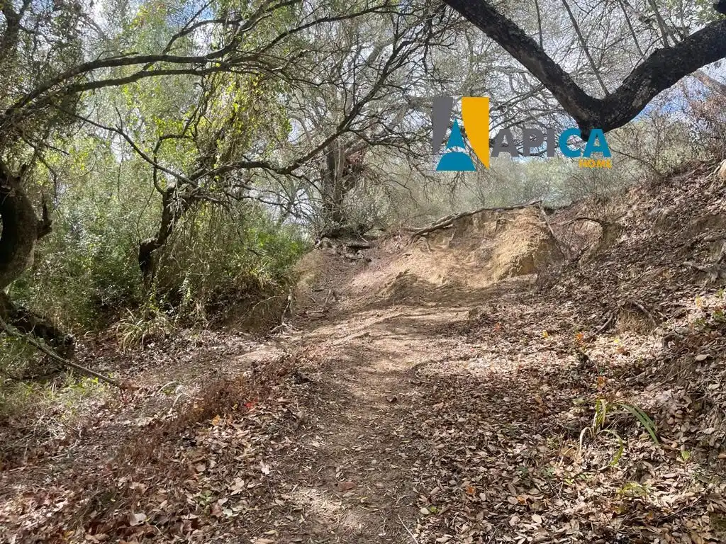 Terreni e lotti in vendita a Vejer, imagen 3