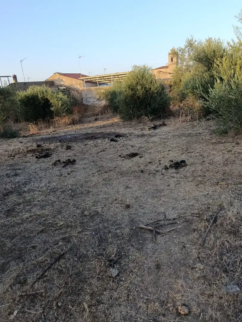Residential land for sale in Calle San Francisco 43, imagen 9