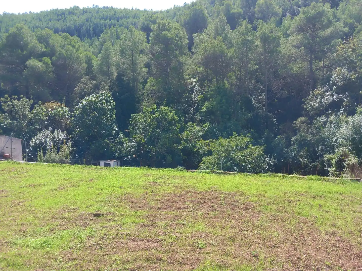House with pool for sale in Torrelles de Foix, imagen 35