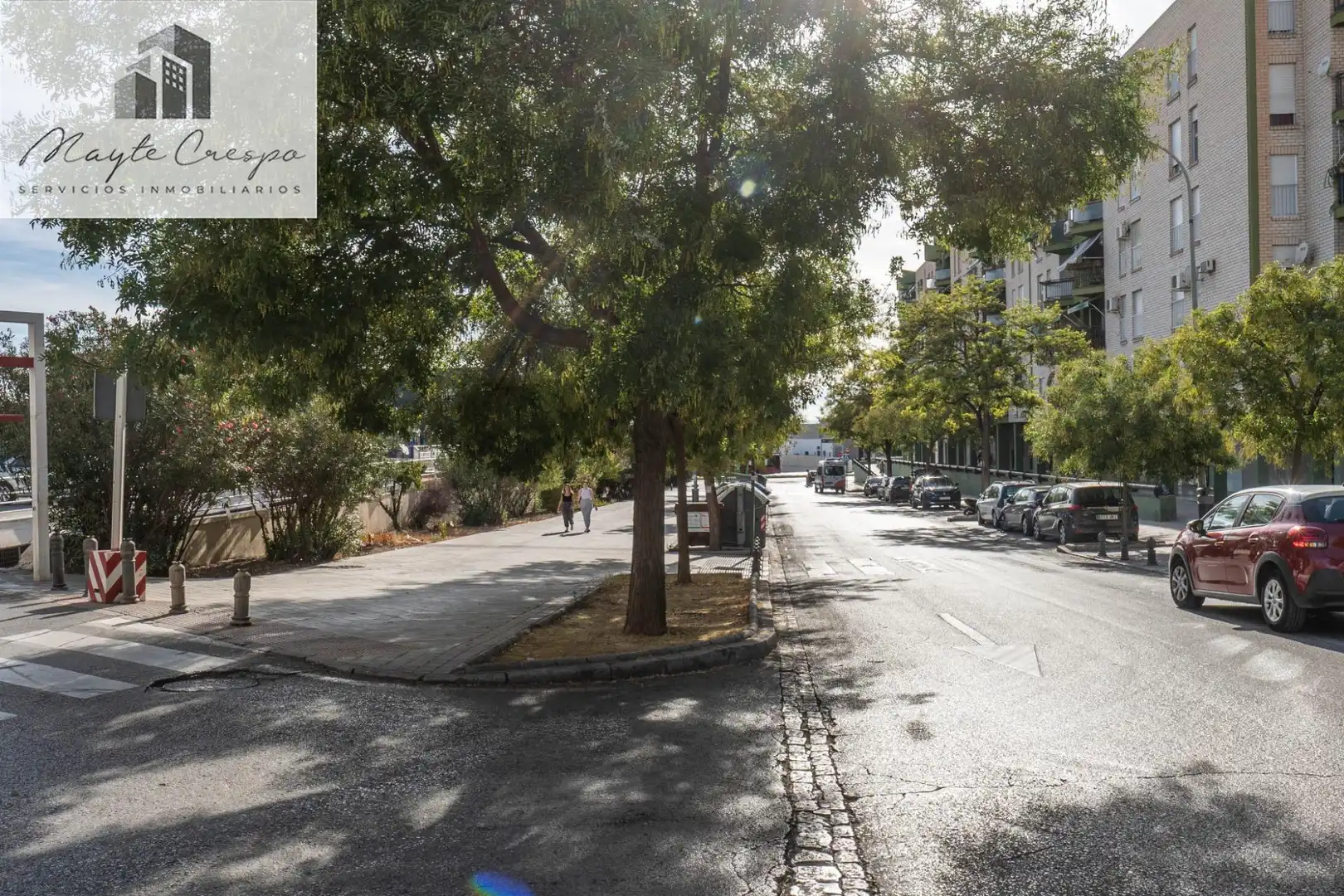 Local comercial en venda a Calle PROFESOR FRANCISCO DALMAU 11, imagen 40