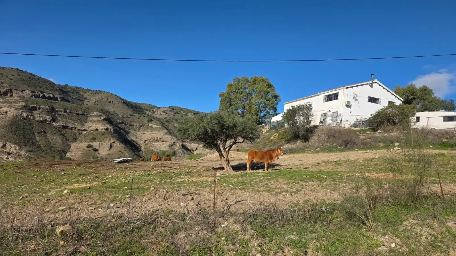 Finca rústica en venda en Pizarra