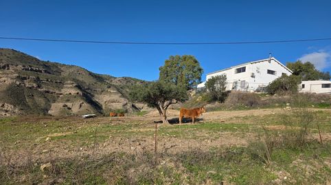 Foto 2 de Finca rústica en venda a Mosquera, Pizarra, Málaga