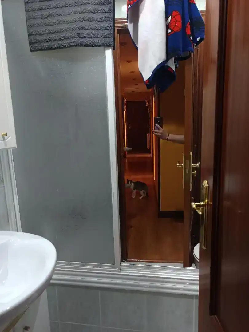 Ático en venta en Palencia Capital