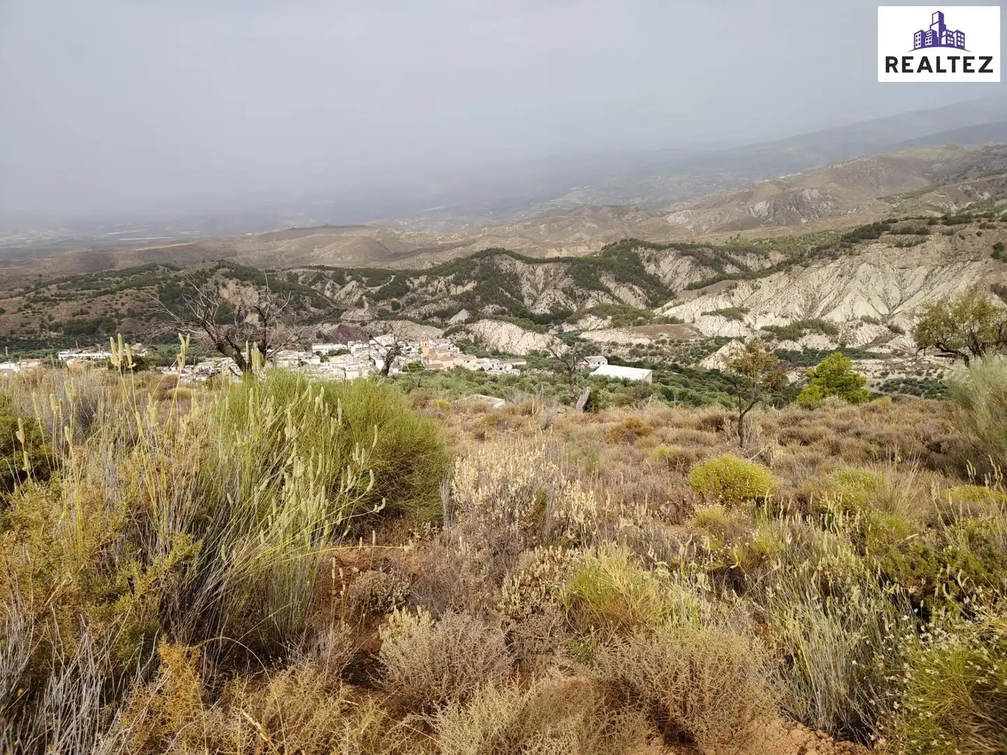 Terrain rustique à vendre à Alcolea, imagen 3