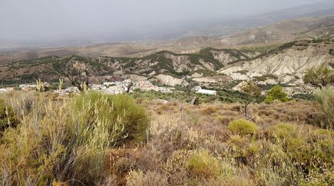 Terreno rústico en venta en Alcolea  17.000 m2 delante del pueblo, immagine 3
