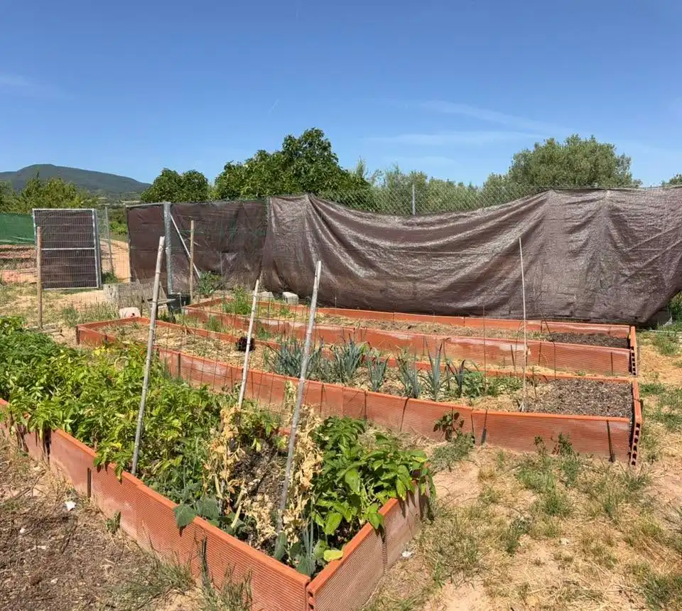 Garten von Grundstücke zum Verkauf in Sorzano
