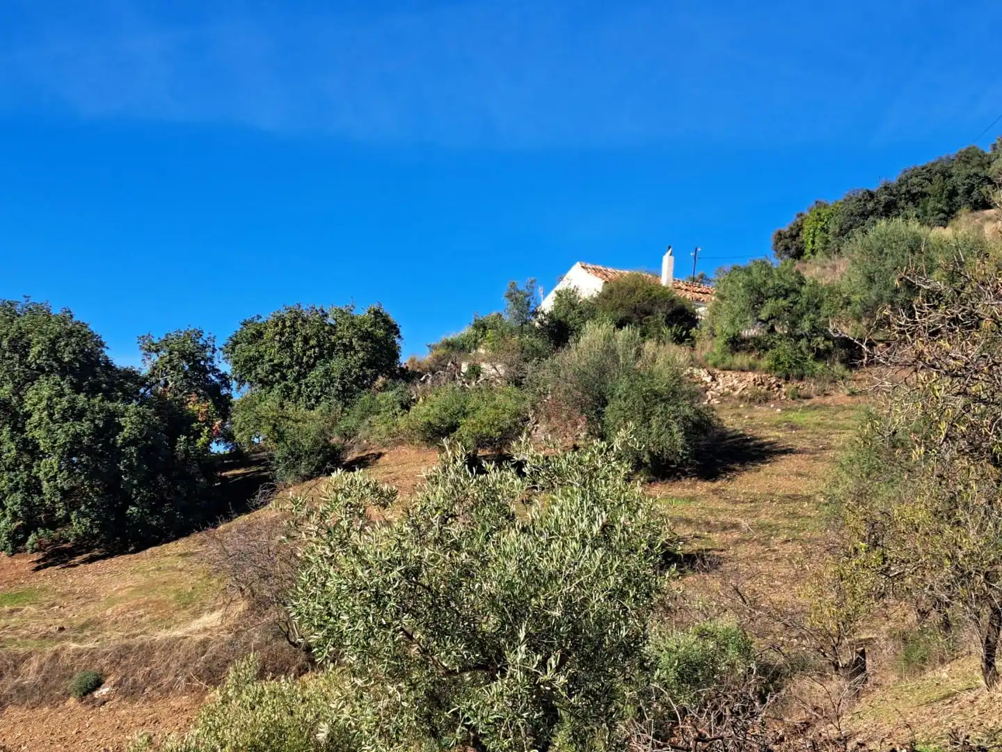 Casa o chalet en venta en Colmenar con Jardín privado