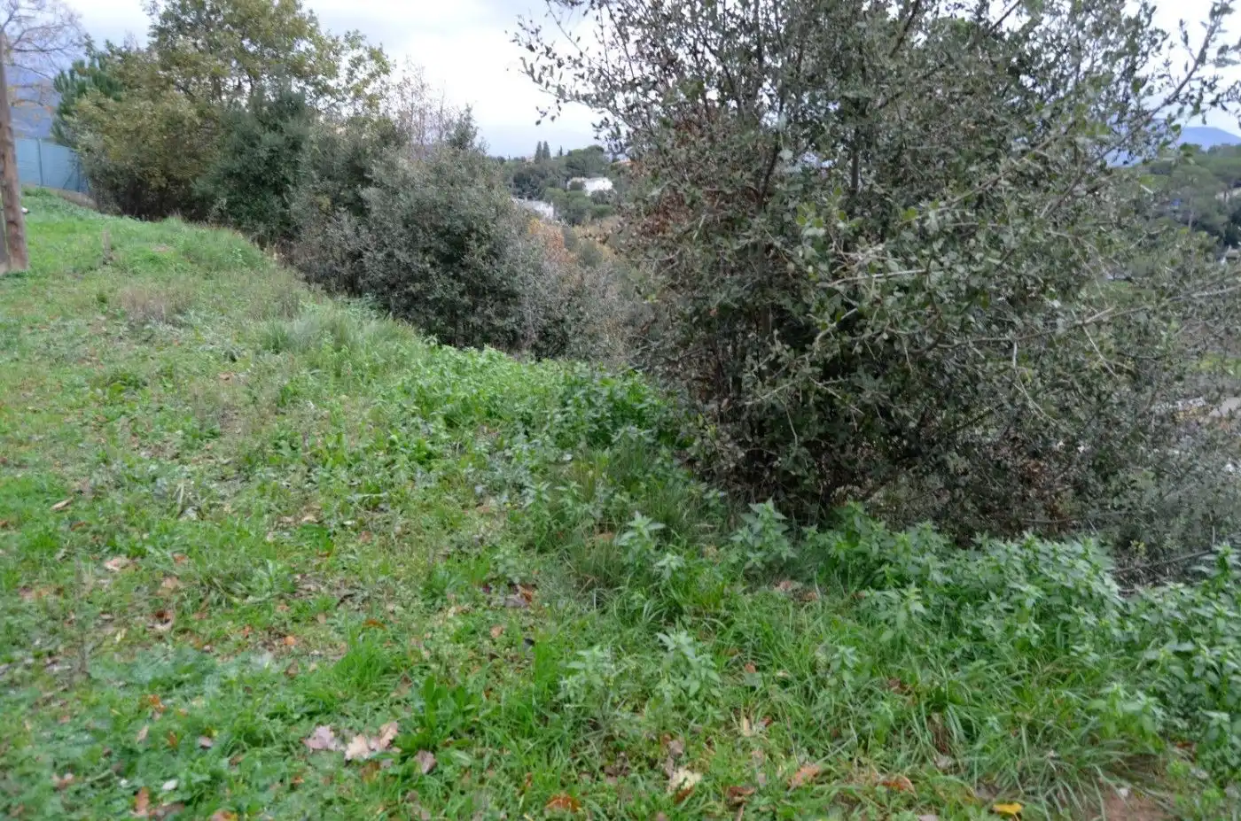 Terreny residencial en venda a Sant Pere de Vilamajor, imagen 7