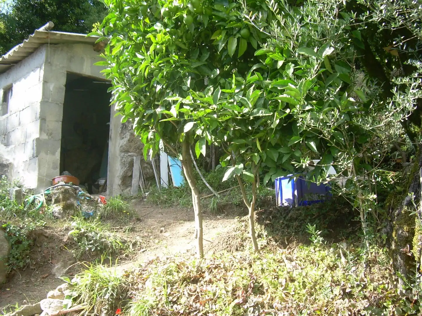 Haus zum Verkauf in Ventana, imagen 34