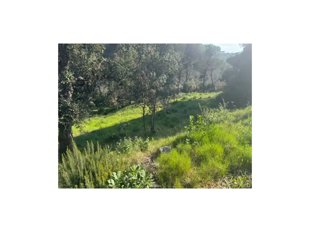 Wohnbaugrundstück zum Verkauf in Niàgara Parc - Àgora Parc, imagen 4