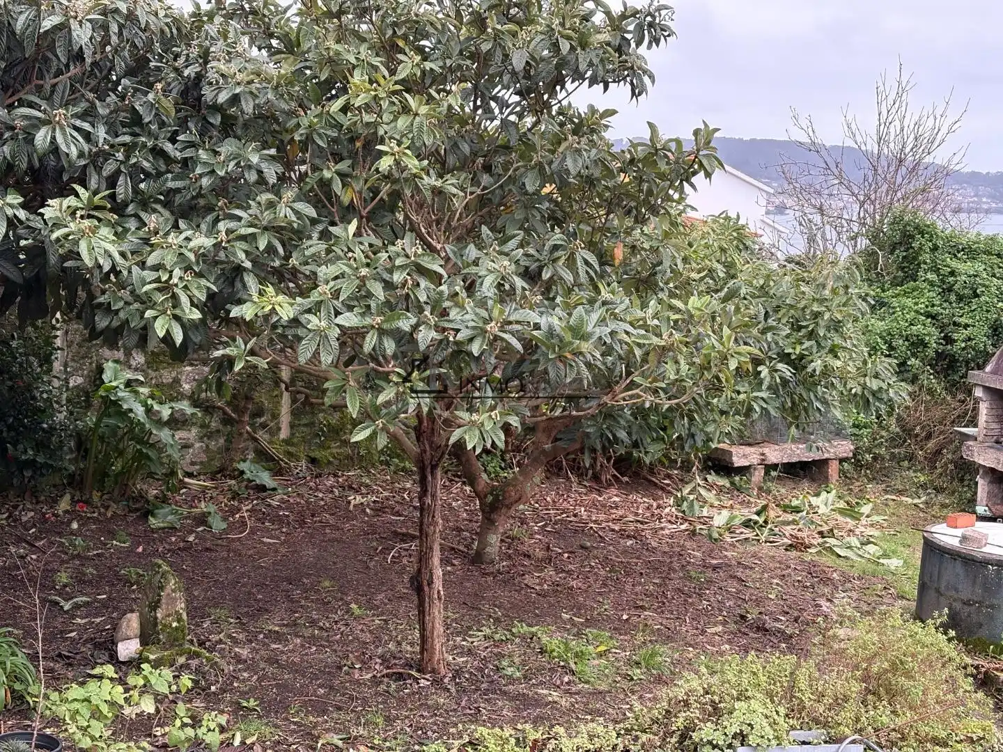 Garden of Houses for sale in Marín