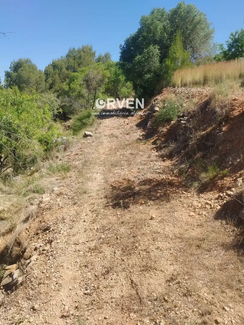 Rural land for sale in Carretera T-240 s/n, imagen 8