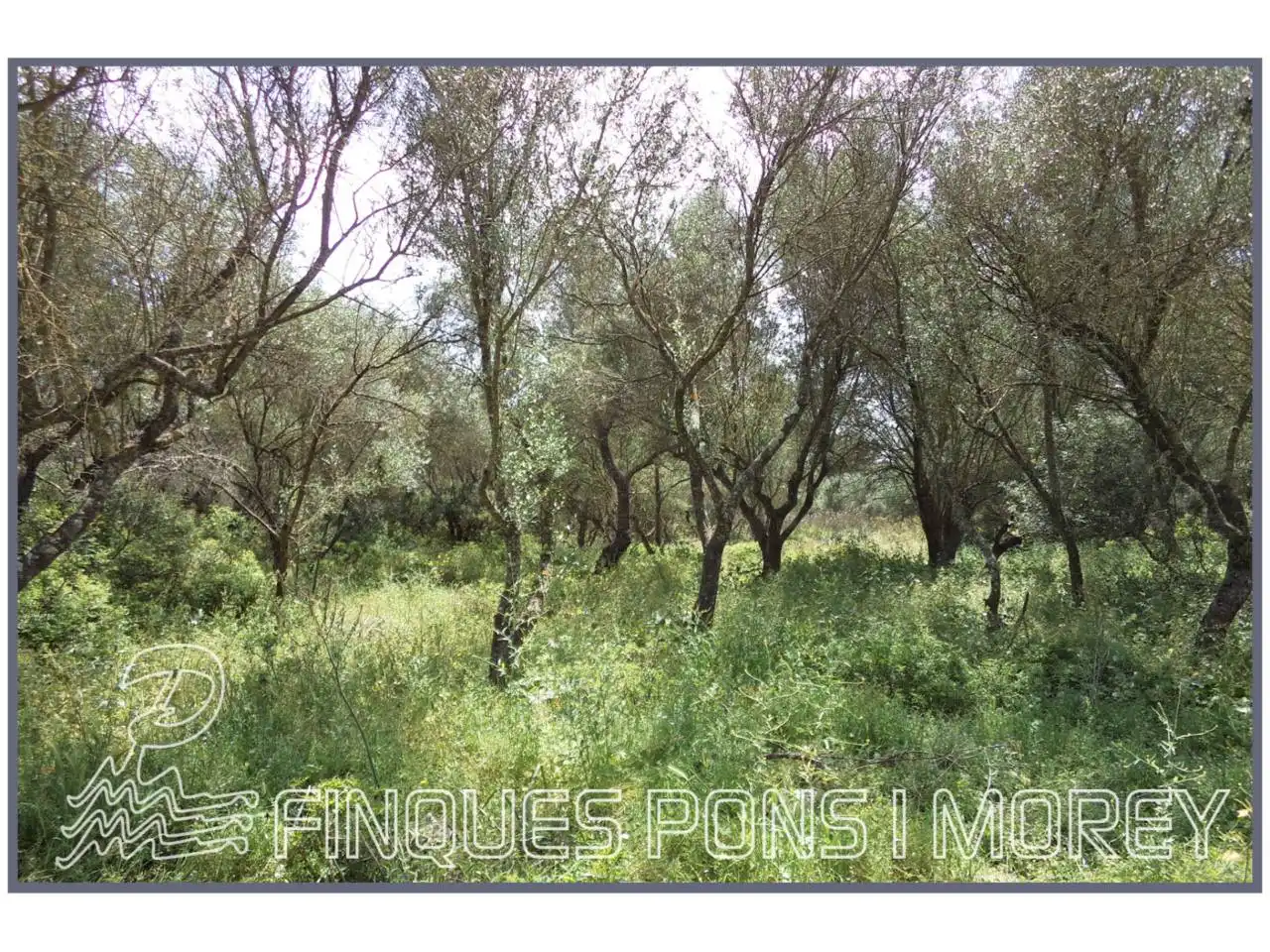 Rustikales Grundstück zum Verkauf in Camino Sta Magdalena sn, imagen 36