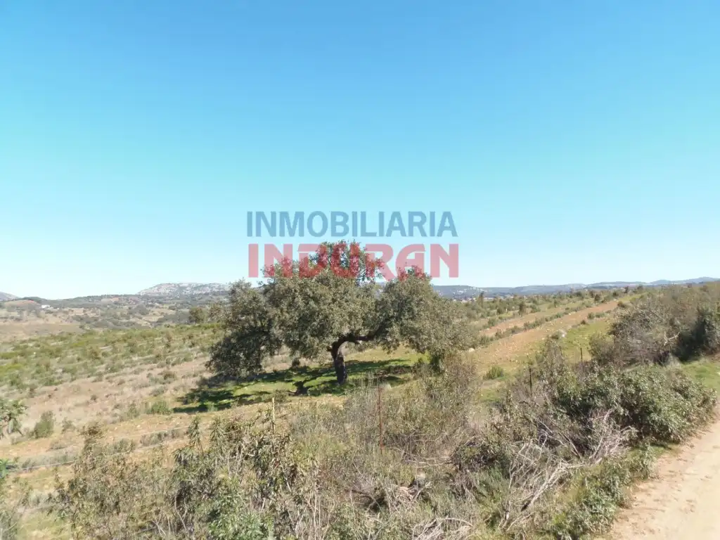 Casa rústica en venda a Fresnedoso de Ibor, imagen 2