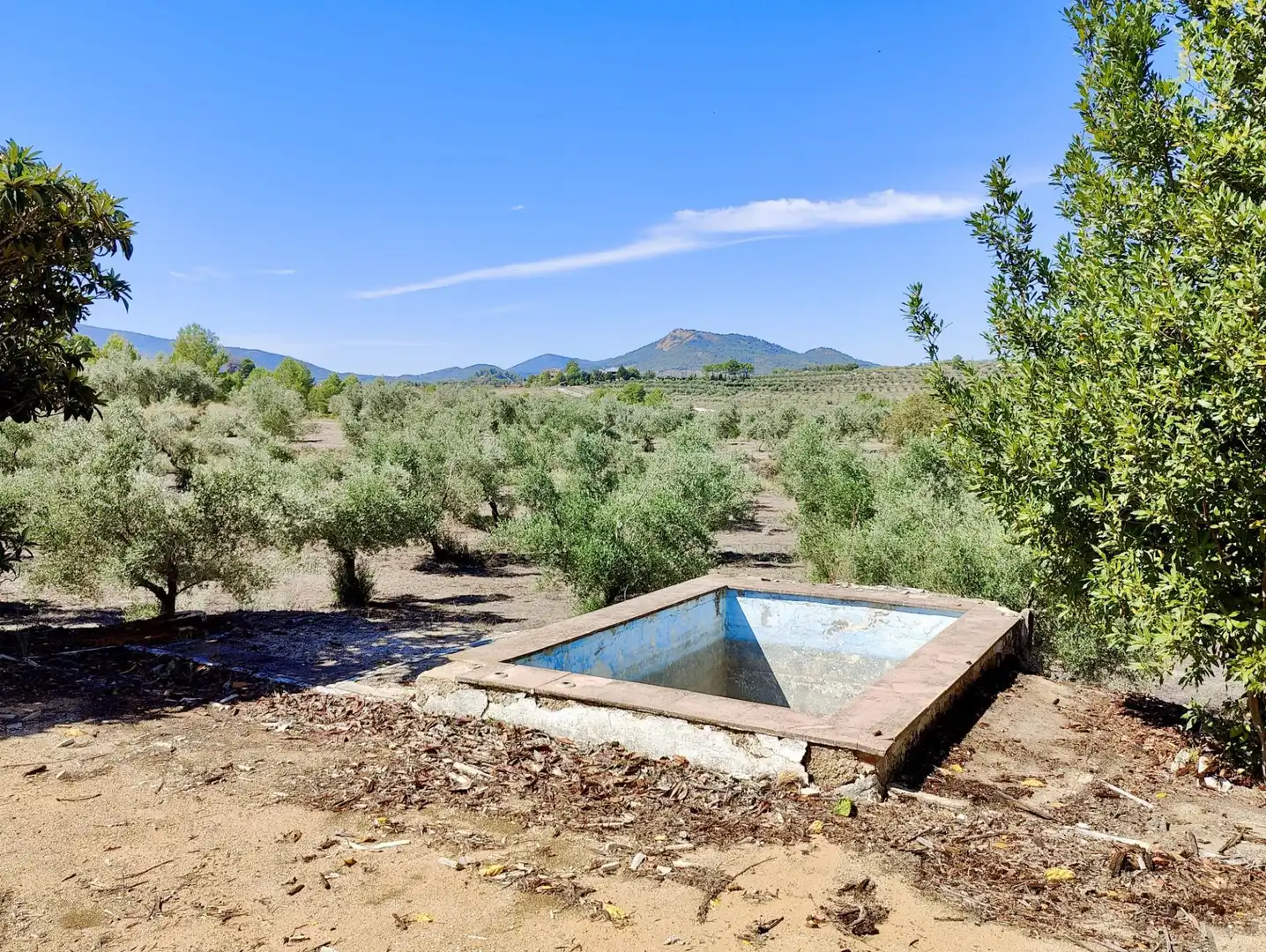 Garden of Houses for sale in Penàguila