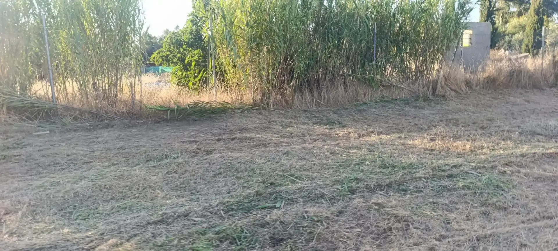 Finca rústica en venda en Arahal