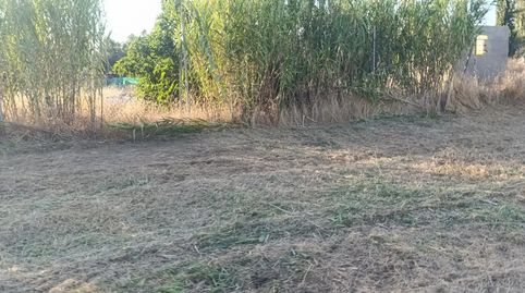 Foto 5 de Finca rústica en venda a Urbanización Valleverde, 1, Arahal, Sevilla
