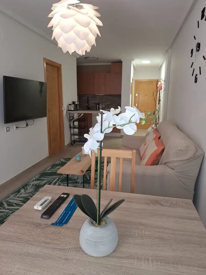 Living room of Flat for rent in Torrevieja  with Air Conditioner, Heating and Terrace