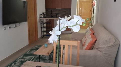 Foto 3 de Piso de alquiler en Antonio Machado, Torrevieja