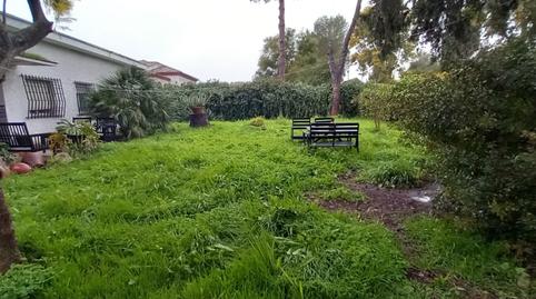 Foto 3 de Casa o xalet en venda a Calle Ajonjolí, Nuevo Bulevar, Mairena del Aljarafe