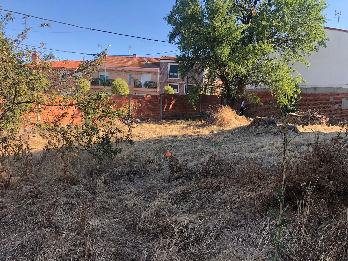 Residential land for sale in Las Flores, imagen 2