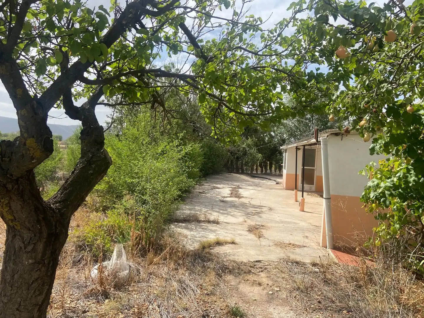 Casa o chalet en venta en Argamasilla de Calatrava con Jardín privado, Terraza y Trastero