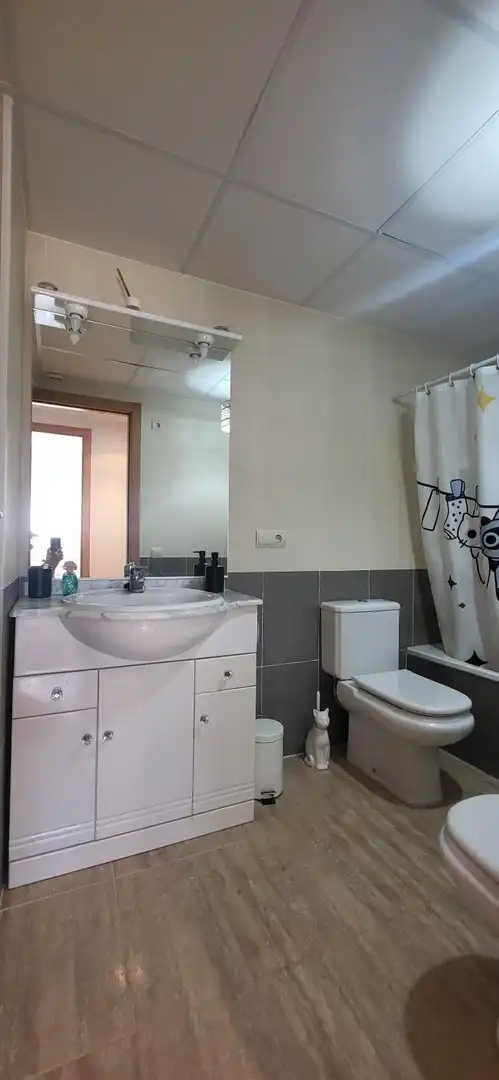 Bany de Apartament en venda en Camarles amb Aire condicionat