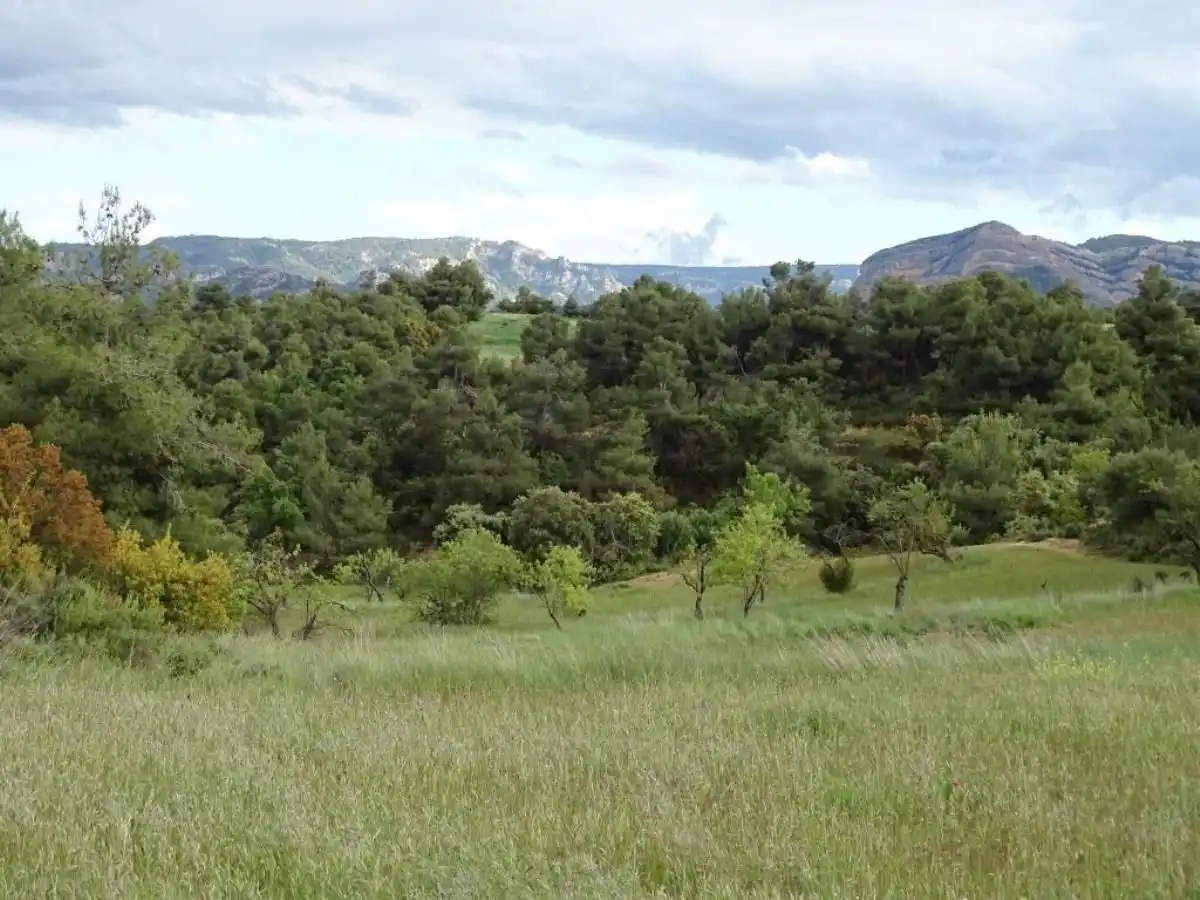 Finca rústica en venta en Cretas