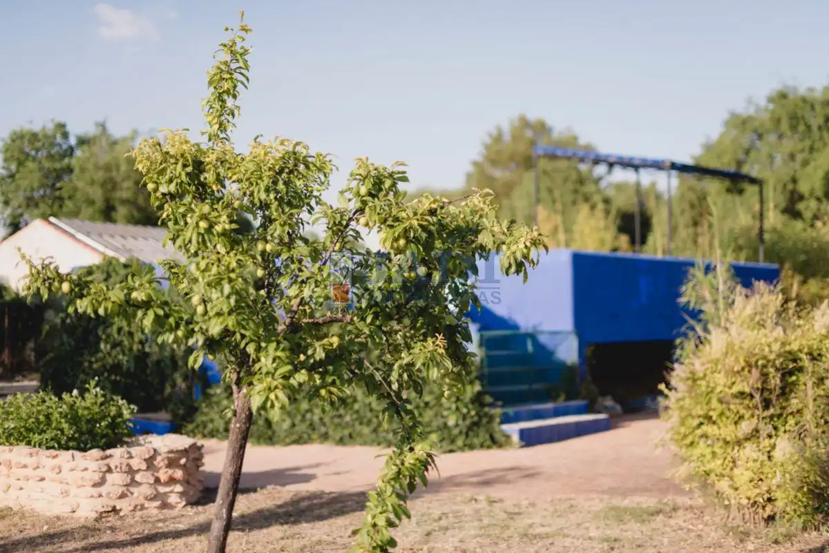 Jardín de Finca rústica en venta en Torrenueva con Calefacción, Terraza y Trastero