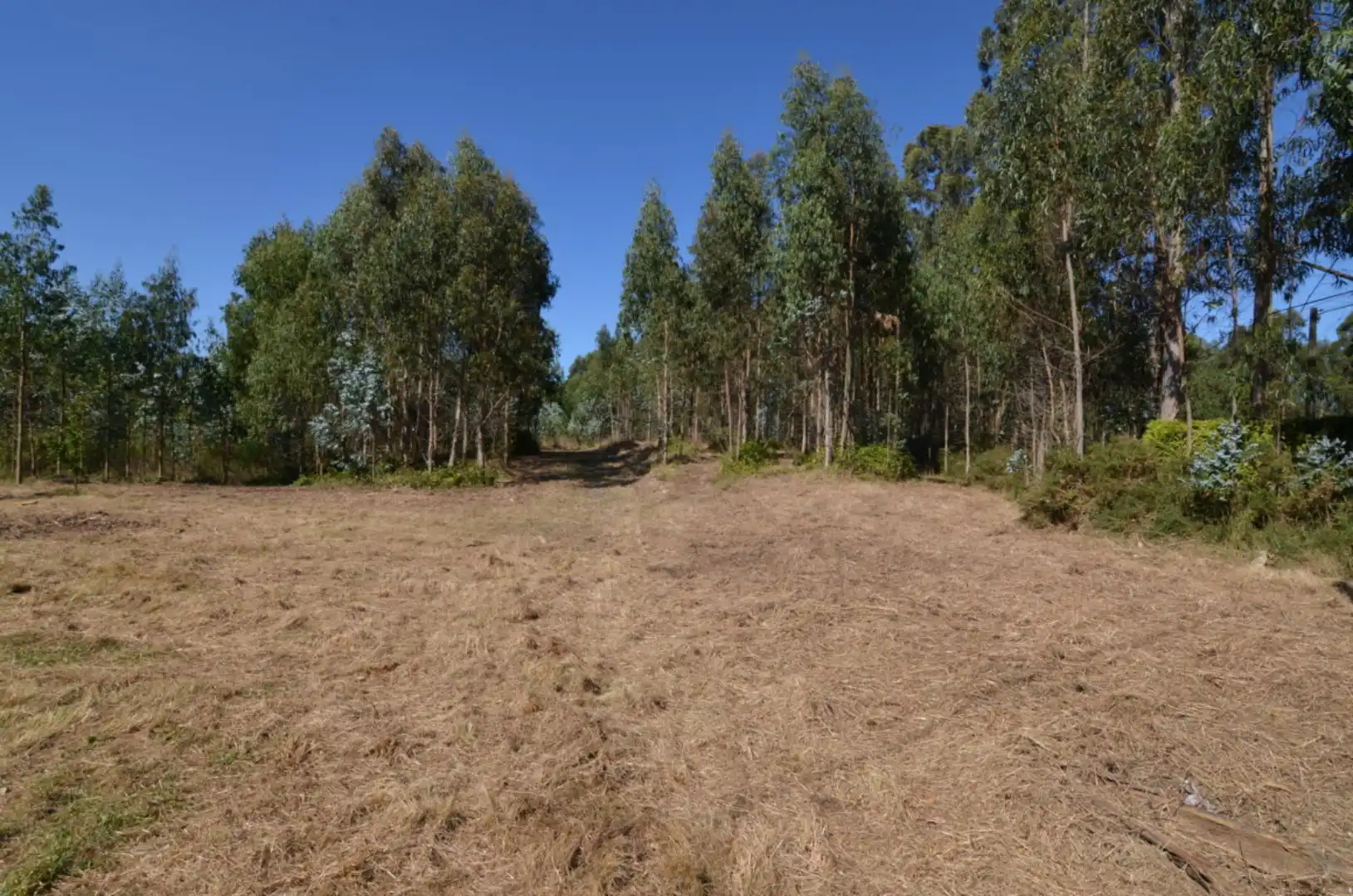 Casa o chalet en venta en Coirós con Trastero, Balcón y Internet