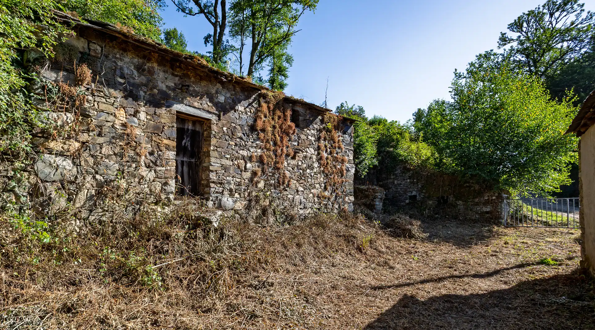 Vista exterior de Finca rústica en venda en Becerreá