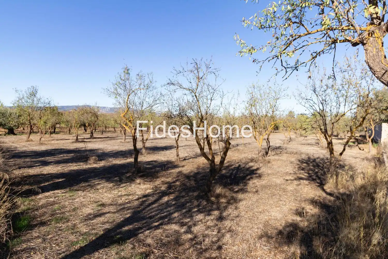 Rural land for sale in XFC2+95P Acequias 0, imagen 3